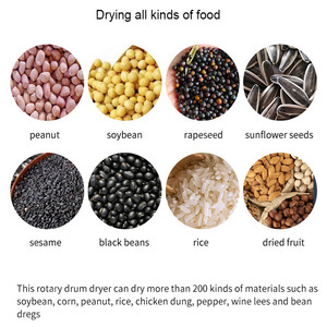 Saatlik 1 Ton Kapasiteli Endüstriyel Döner Tamburlu Kurutucu, Soya, Yer Fıstığı, Buğday, Pirinç Kabuğu, Mısır Tahıl için Tamburlu Kurutma Ekipmanı - Product Image 5