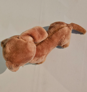 Nouveaux articles en peluche douce <span class=keywords><strong>teckel</strong></span> brun personnalisés <span class=keywords><strong>à</strong></span> <span class=keywords><strong>vendre</strong></span> en vrac - Product Image 5