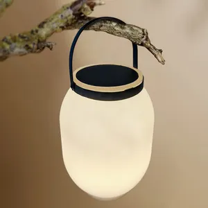 solar small led lights for chinese christmas lantern lights camping landscape decorative garden lantern lights
