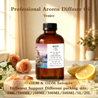 Huile parfumée pour diffuseur sans eau et machine à parfum, huile aromatique longue durée, recharge personnalisée, OEM ODM en gros
