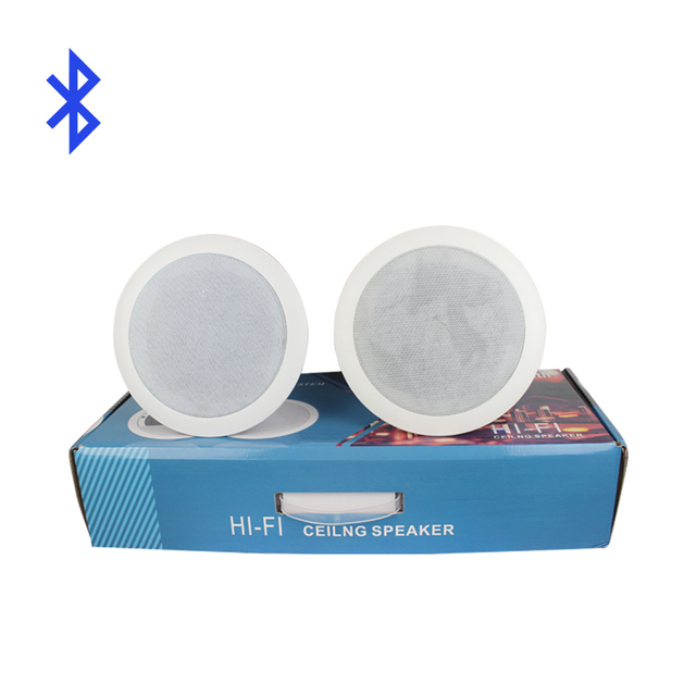 Direct Sales 2*20w 8 Ohms Professional ABS Plastic Cover Two Way Pa Active Home Theatre Grills Ceiling Mount Speaker Kit