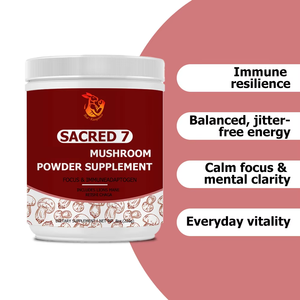Meilleures ventes : Compléments alimentaires en poudre de champignons avec extrait de Chaga et extrait de Cordyceps pour la concentration et le calme - Product Image 3