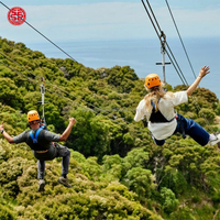 Kit d'équipement populaire de parc d'attractions en plein air d'aventure pour adultes et enfants tyrolienne