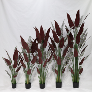 Pianta Artificiale Calathea <span class=keywords><strong>Majestica</strong></span> White Star Staccabile Realistica per Decorazione Interna di Casa, Ufficio e Hotel - Product Image 1