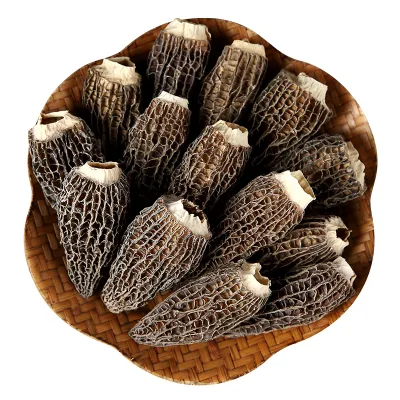 Bán buôn tươi morilles nấm morchella trồng trọt mycelium morel nấm hạt giống