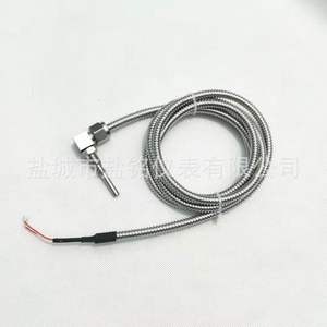 WZP-521SA Temperature Sensor Pt100 Wire Leads For Motor Bearing Measurement - Product Image 1