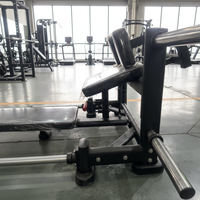 Nouvelle conception, ensemble complet, export direct usine, équipement de fitness et musculation, machine commerciale de gym 3D pour fessiers et poussée de hanche