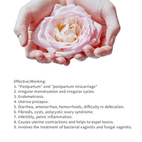 Herbes Naturelles Biologiques 100% pour Bain de Vapeur Yoni, Vente en Gros, Tisane Florale pour la Santé Vaginale Féminine 1kg