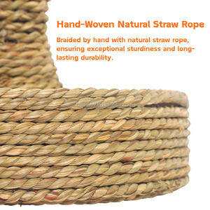 Arbre à gratter pour chat en forme de branche, poteau à gratter en paille tressée avec jouets à mâcher en forme de carotte - Product Image 2