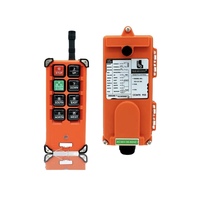 Control Remoto para Grúa F21-E1B, Control Remoto Industrial de 6 Teclas, Transmisor y Receptor Inalámbricos