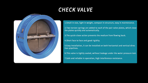 Tws DN50-DN800 Pn10 Pn16 Ansi Dual Plate Wafer Type Terugslagklep Goede Kwaliteit - Product Image 6