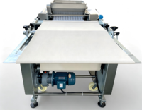 La ligne de production de biscuits pour desserts est automatique et électrique, avec four de cuisson, capacité de 500 kg, 380 V