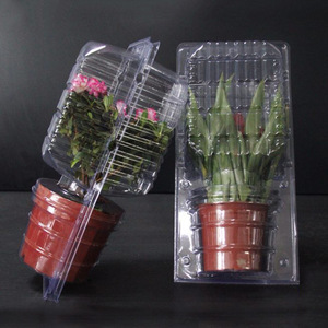 Factory Direct Supply Große Sämling Topfpflanze Transport box Blumen verpackung Luftpolster folie für den Sämling versand - Product Image 1