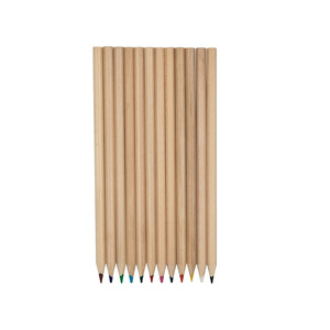 Matite Standard dal Design Minimalista con Venature Naturali del Legno, Set da 12 Colori per Arte e <span class=keywords><strong>Disegno</strong></span> per Principianti, Confezione per Bambini - Product Image 2