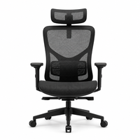 Chaise de bureau ergonomique moderne en maille, dossier haut, soutien lombaire réglable, chaise pivotante pour les cadres, les dirigeants et le personnel