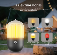 Lampe de camping rechargeable 250 lumens IPX4 avec crochet portable compatible avec un trépied pour le camping