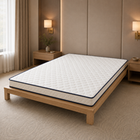 Matelas pliant en mousse à mémoire de forme, format simple, gain de place, lit de sol portable pour chambre d'amis et usage temporaire