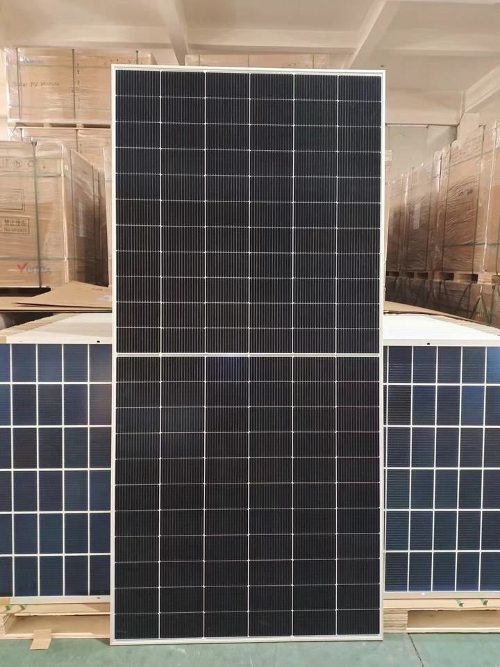 Vertex N TSM-NEG19RC.20 Trina N-type Topcon Bifacial Dual Glass 605 ...