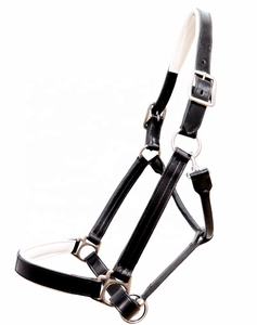 Nouveau halte en cuir de cheval FAB avec boucle en laiton, design rembourré doux, couleur et taille personnalisables pour usage équestre - Product Image 1