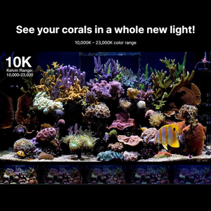 Redsea Israel reefled G2 loạt quang phổ đầy đủ Wifi ứng dụng lập trình thông minh rạn san hô phát triển nước mặn hồ cá biển dẫn ánh sáng - Product Image 6