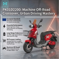 72V 2200W Electric Moped Scooter Streetbikes High Power 45km/h Durable Long Range Urban Commuter Motorcycle for Adults