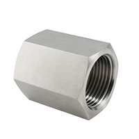Raccord droit en acier inoxydable 316L, raccord hexagonal égal, connecteur à double filetage interne G1 femelle x G1 femelle