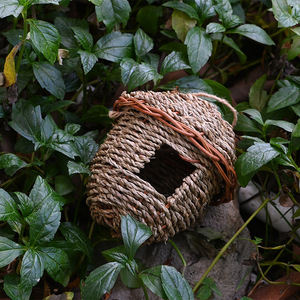 Nido de pájaros tejido a mano, de hierba, tamaño mediano, redondo, ecológico, para decoración de jardín. - Product Image 2