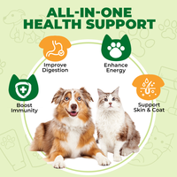 Premium kattengras tabletten voor haarbalcontrole, spijsverteringsondersteuning, natuurlijk kattensupplement, OEM ODM leverancier van huisdierenvitamines