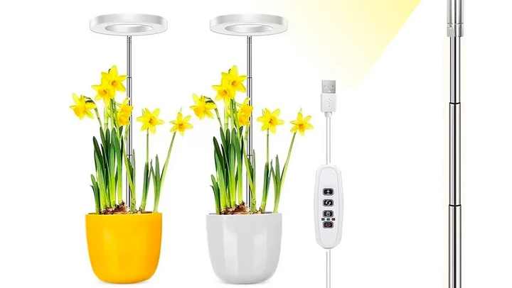 Cheap Price Led Angel Ring Plant Lamp Full Spectrum Grow Lights for Indoor  Flowers Indoor Plants