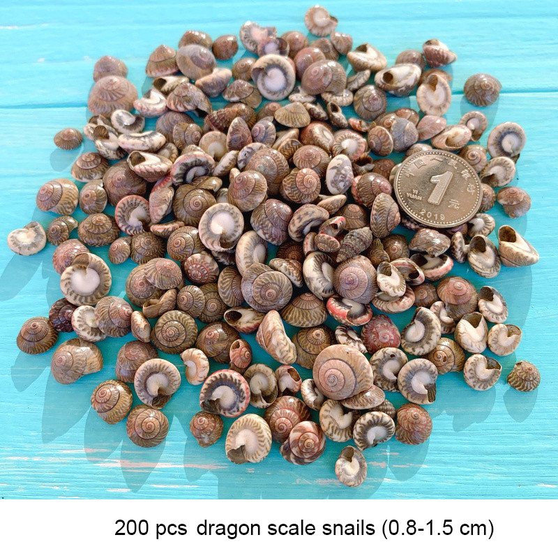 200 piezas 0,8-1,5 cm