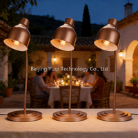 Lampe chauffante électrique rétractable en acier inoxydable couleur or rose pour restaurant et buffet à domicile
