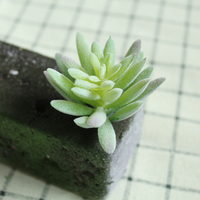Plantes artificielles succulentes à faible MOQ, série DIY pour la décoration intérieure et extérieure