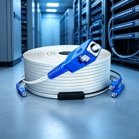 Cable de Comunicación DT-FJXHS22 para Interiores, SC UPC, G657A, LSZH, FTTH, Cable de Fibra Óptica