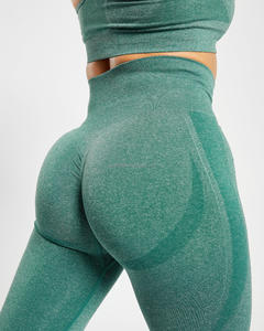 Échantillon gratuit vêtements de sport sans couture pour femmes vêtements d'entraînement vêtements de yoga vêtements de fitness collants de sport leggings sans couture pour femmes - Product Image 5