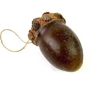 Handmade Tự Nhiên Acorn Hoa Khô DIY Chụp Đạo Cụ Mẫu Giáo Giáng Sinh Trang Trí Mô Phỏng Hạt Nhân Tạo Halloween - Product Image 6