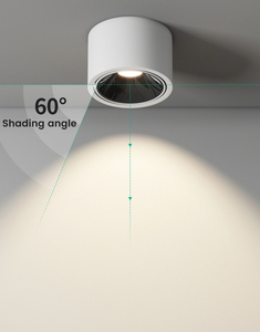 Projecteur LED 5W/7W/10W/12W/ Lumière descendante pour couloir, angle réglable, type plafond, salon, projecteur domestique - Product Image 1