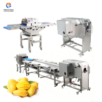 Fabrieksontwerp Fruitverwerkingslijn Motor SUS 304 RVS Hoge capaciteit 1500-8000kg/u Versgesneden fruit invoer