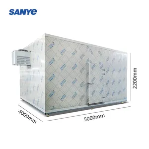 cold room storage for potato frozen cold room for meat and fish cold room for sale