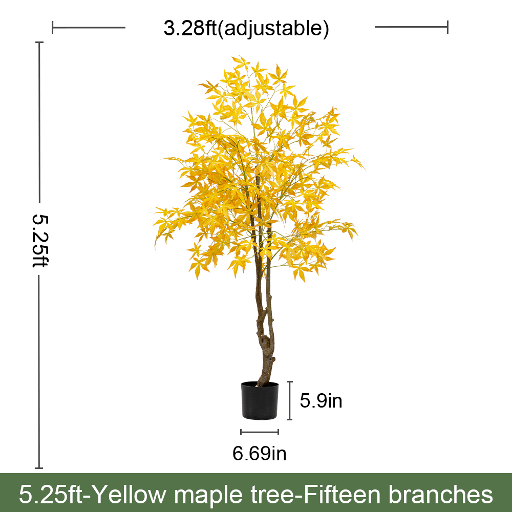 Los 5.3FT/160CM