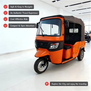 Triciclo para Adultos Bajaj Keke, Carrocería Abierta, Certificado EEC, 60V 1000W, 400kg, 5 Pasajeros - Product Image 2