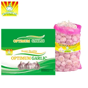 A variety of packaging high quality Chinese Jinxang garlic low price wholesale export abroad