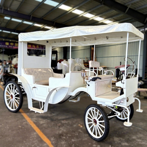ZHENDA Voiture électrique biplace Princesse des rêves en forme de calèche de chevaux en cristal, couleur personnalisable, populaire pour mariages, événements et complexes hôteliers de luxe - Product Image 1
