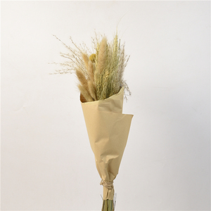 Décoration de maison GY BSCI : <span class=keywords><strong>herbes</strong></span> naturelles, lavande et herbe de la <span class=keywords><strong>pampa</strong></span> séchées et préservées - Product Image 4