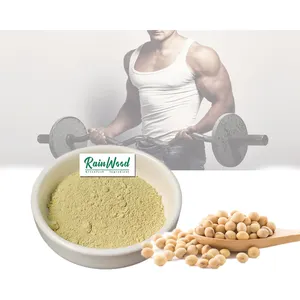 Rainwood supply Food additive concentrated soy protein/isolated soy protein 90% powder for meat