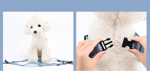 Collier en cuir pu à Double chaîne <span class=keywords><strong>pour</strong></span> <span class=keywords><strong>chien</strong></span>, laisse rétractable, personnalisé <span class=keywords><strong>pour</strong></span> distributeur de sac de poope, collier Led, personnalisé, Tooled <span class=keywords><strong>pour</strong></span> chasseur - Product Image 4