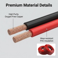 RVB 2-adriges Kupfer-PVC-Flachparallelkabel, flexibel, Niederspannung, Beleuchtungskabel, 100m, für elektrische Geräte, Marke JXZJ