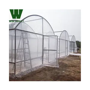 Organic Farming Tunnel polyethylene Greenhouse
