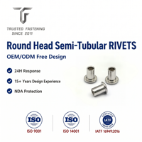 Rivets semi-tubulaires à tête ronde en laiton TianFang pour prototypes de garnitures de frein, finition nickelée, tailles personnalisées, fourniture OEM ODM