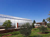 Serre en polycarbonate pour l'hydroponie dans le désert, système hollandais pour la culture de concombres et de tomates, Émirats arabes unis, Arabie saoudite, Moyen-Orient