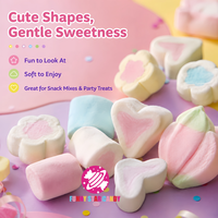 Vente en gros de mini guimauves halal personnalisées, saveur de fruits mélangés, bonbons en coton colorés pour enfants